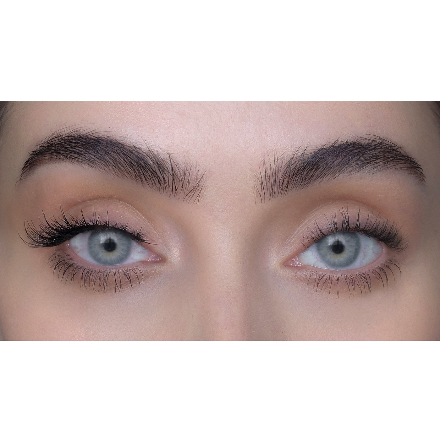 Beroe 3D – Sweed Beauty US